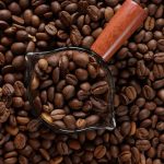 Mengenal Robusta Argopuro: Potensi Kopi dari Jember, Jawa Timur